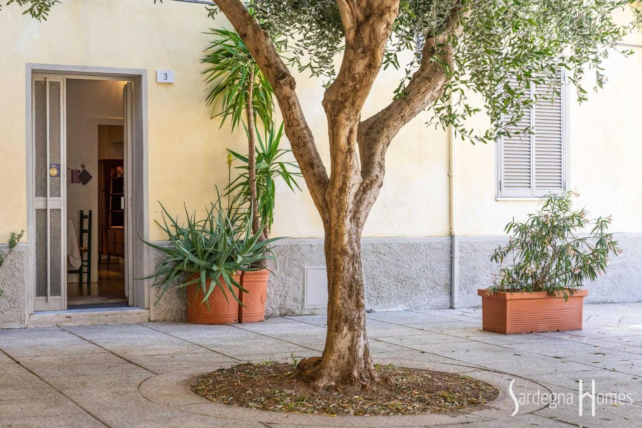 אולביה Sardegna Homes Il Glicine מראה חיצוני תמונה